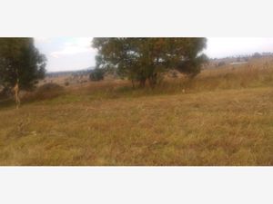 Terreno en Venta en Aculco de Espinoza Aculco