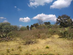 Terreno en Venta en Aculco de Espinoza Aculco