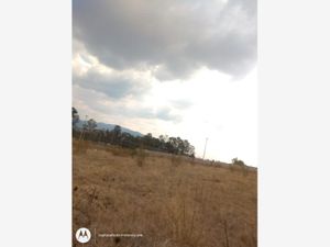 Terreno en Venta en Aculco de Espinoza Aculco