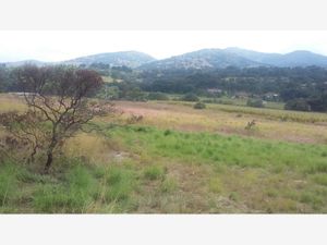 Terreno en Venta en Aculco de Espinoza Aculco