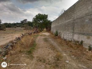 Terreno en Venta en Aculco de Espinoza Aculco