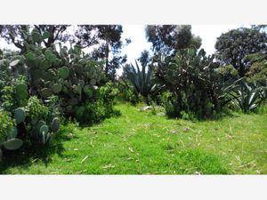 Terreno en Venta en Aculco de Espinoza Aculco