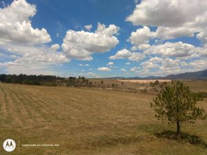 Terreno en Venta en Aculco de Espinoza Aculco