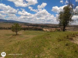 Terreno en Venta en Aculco de Espinoza Aculco