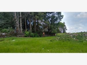 Terreno en Venta en San Jerónimo Aculco