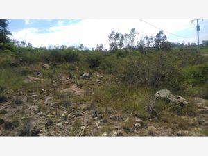 Terreno en Venta en Aculco de Espinoza Aculco