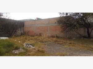 Terreno en Venta en Aculco de Espinoza Aculco