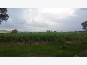 Terreno en Venta en Aculco de Espinoza Aculco