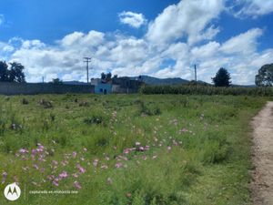 Terreno en Venta en Aculco de Espinoza Aculco