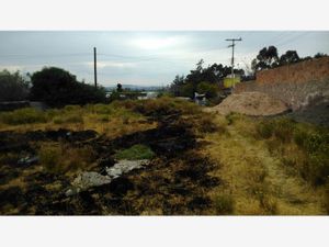 Terreno en Venta en Aculco de Espinoza Aculco