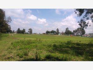 Terreno en Venta en Aculco de Espinoza Aculco