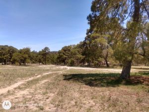 Terreno en Venta en Aculco de Espinoza Aculco