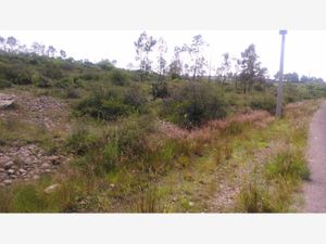 Terreno en Venta en Aculco de Espinoza Aculco