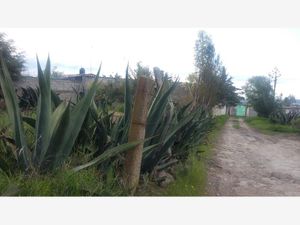 Terreno en Venta en Aculco de Espinoza Aculco