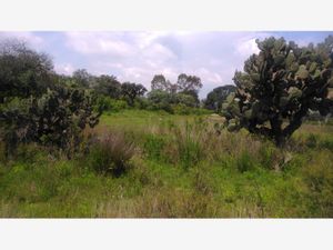 Terreno en Venta en Aculco de Espinoza Aculco