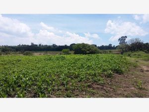 Terreno en Venta en Arroyo Zarco Aculco