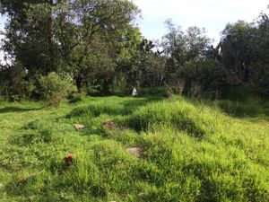 Terreno en Venta en Arroyo Zarco Aculco