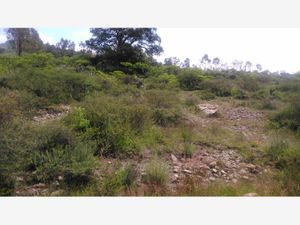 Terreno en Venta en Aculco de Espinoza Aculco