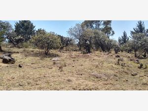 Terreno en Venta en Aculco de Espinoza Aculco