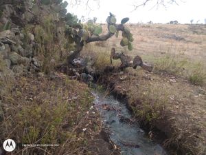 Terreno en Venta en Aculco de Espinoza Aculco