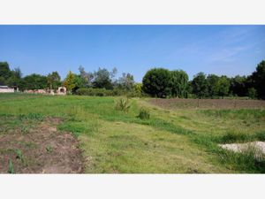 Terreno en Venta en Aculco de Espinoza Aculco