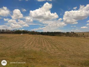 Terreno en Venta en Aculco de Espinoza Aculco