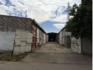 Bodega en Renta en Parque Industrial Laguna Gómez Palacio