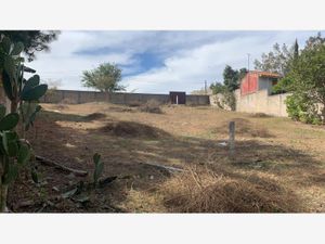 Terreno en Venta en La Primavera Zapopan