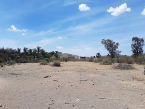 Terreno en Venta en Villa California Tlajomulco de Zúñiga