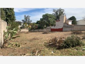 Terreno en Venta en La Primavera Zapopan