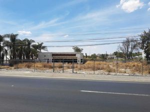 Terreno en Venta en Villa California Tlajomulco de Zúñiga