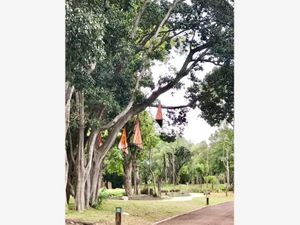 Terreno en Venta en El Carmen Atlixco