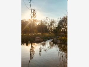 Terreno en Venta en El Carmen Atlixco