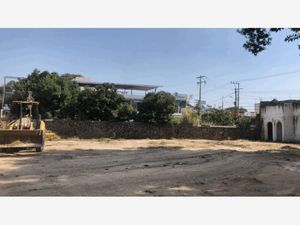 Terreno en Venta en Centro Jiutepec Jiutepec