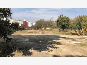 Terreno en Venta en Centro Jiutepec Jiutepec