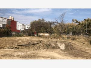 Terreno en Venta en Centro Jiutepec Jiutepec