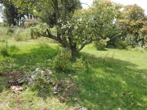 Terreno en Venta en Los Barbechos Villa del Carbón