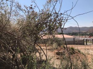 Terreno en Venta en Villa California Tlajomulco de Zúñiga