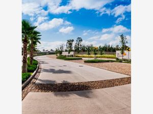 Terreno en Venta en Rancho Santa Mónica Aguascalientes