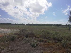 Terreno en Venta en Isla Aguada Centro Carmen