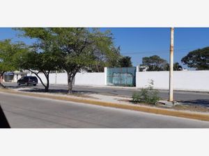 Terreno en Venta en Héroes de Nacozari Carmen