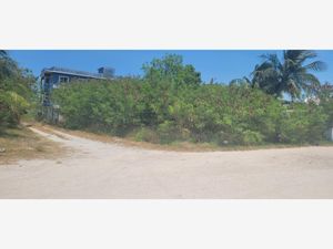 Terreno en Venta en Playa Palmas Carmen