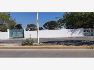 Terreno en Venta en Héroes de Nacozari Carmen