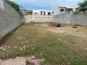 Terreno en Renta en Morelos Carmen