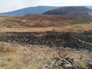 Terreno en Venta en Tlajomulco Centro Tlajomulco de Zúñiga