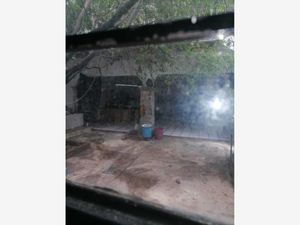 Bodega en Venta en Pinar de las Palomas Tonalá