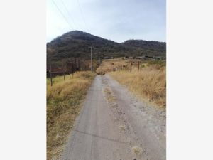 Terreno en Venta en Tlajomulco Centro Tlajomulco de Zúñiga