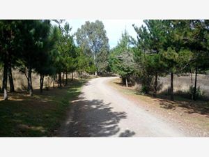 Terreno en Venta en Tapalpa Tapalpa