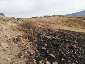 Terreno en Venta en Tlajomulco Centro Tlajomulco de Zúñiga