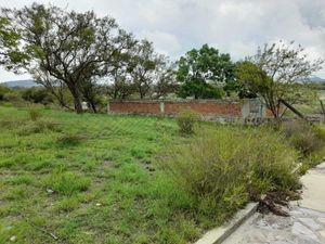 Terreno en Venta en Guadalupe Victoria Valsequillo Puebla